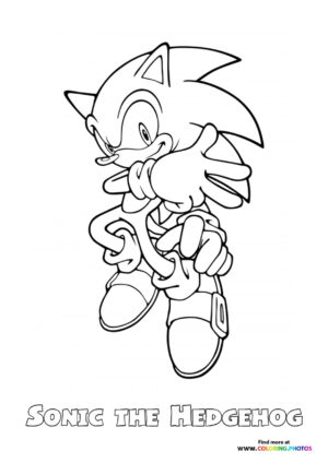 Sonic the hedgehog