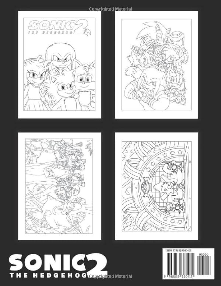 Sãnic the hedgehog coloring book for kids fun lovely and cute sãnic colouring book with over exclusive coloring pages to color relax and relieve stress edition morrison kate libros