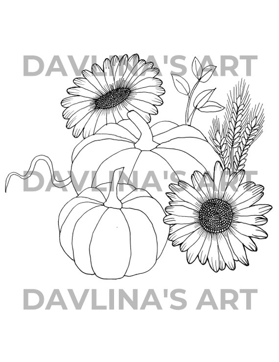 Buy set of fall printable coloring pages for adults pumpkins autumn leaves thanksgiving baskets coloring pages online in india