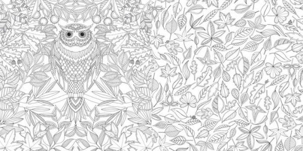 Secret garden an inky treasure hunt and coloring book for adults mindfulness coloring by johanna basford paperback barnes noble