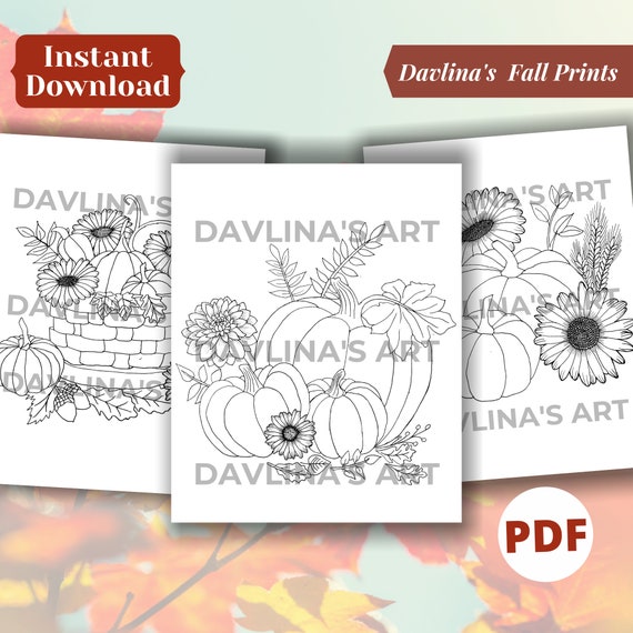 Buy set of fall printable coloring pages for adults pumpkins autumn leaves thanksgiving baskets coloring pages online in india