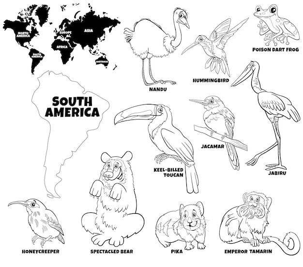 Premium vector cartoon south american animal species set coloring page