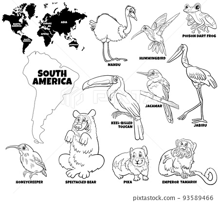 Cartoon south american animal species set