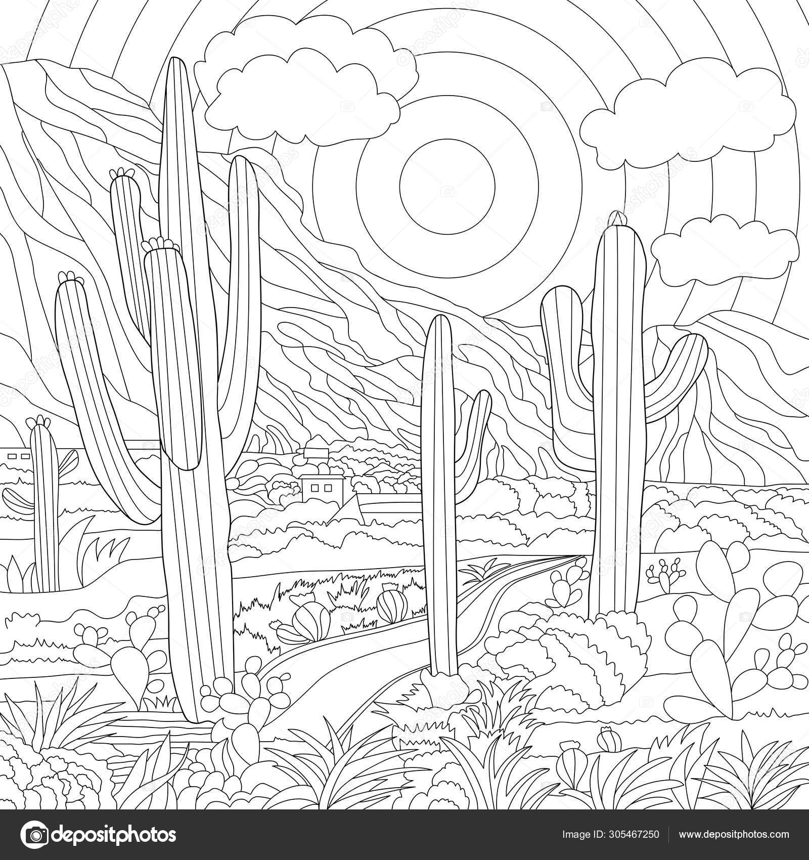 Coloring illustration south america landscape vector ilustration cactus black white stock vector by suriko