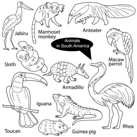 Set with funny cute animals living in south america objects isolated on white background linear black and white version illustration can be used for coloring book and pictures for children royalty free
