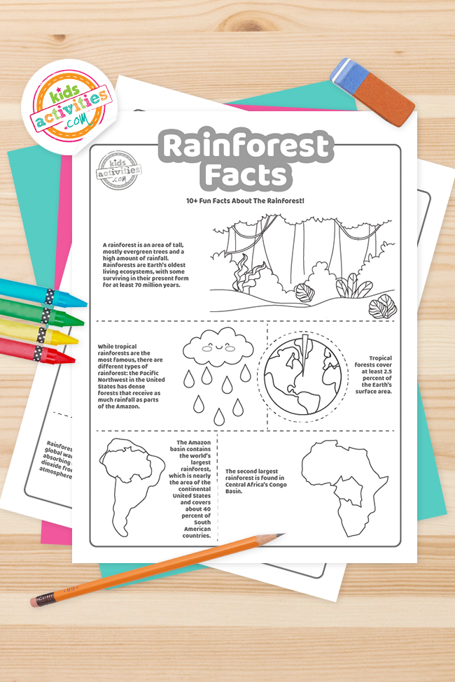 Rainforest facts printable worksheets kids activities blog
