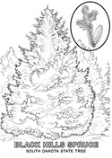 South dakota coloring pages free coloring pages