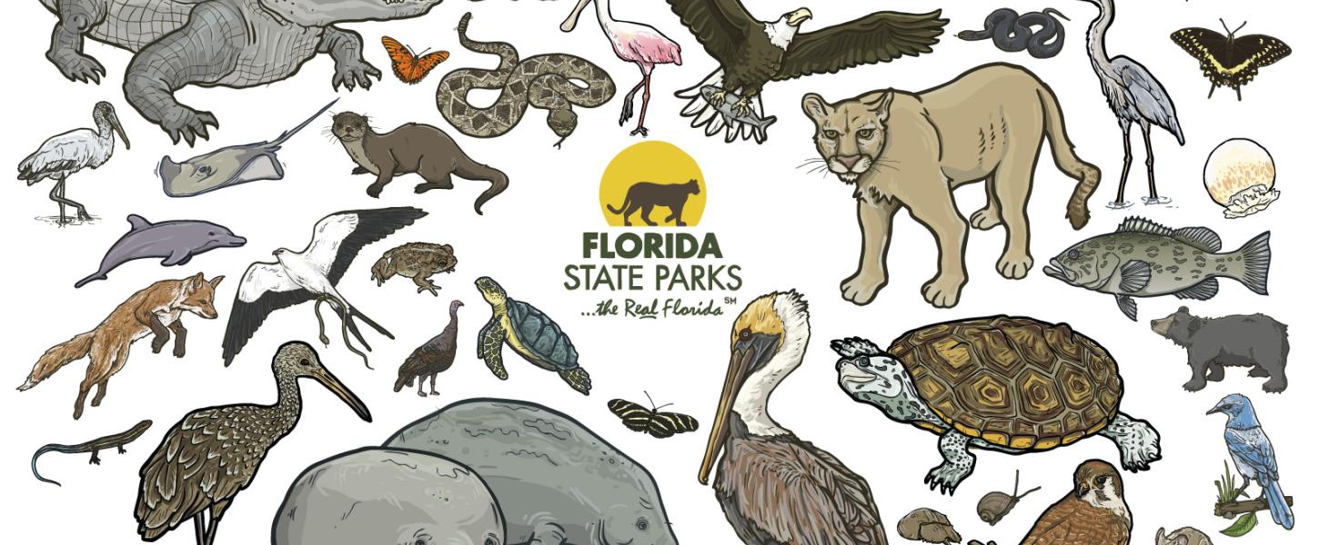 Critter sheets florida state parks