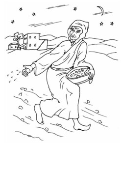 The sower