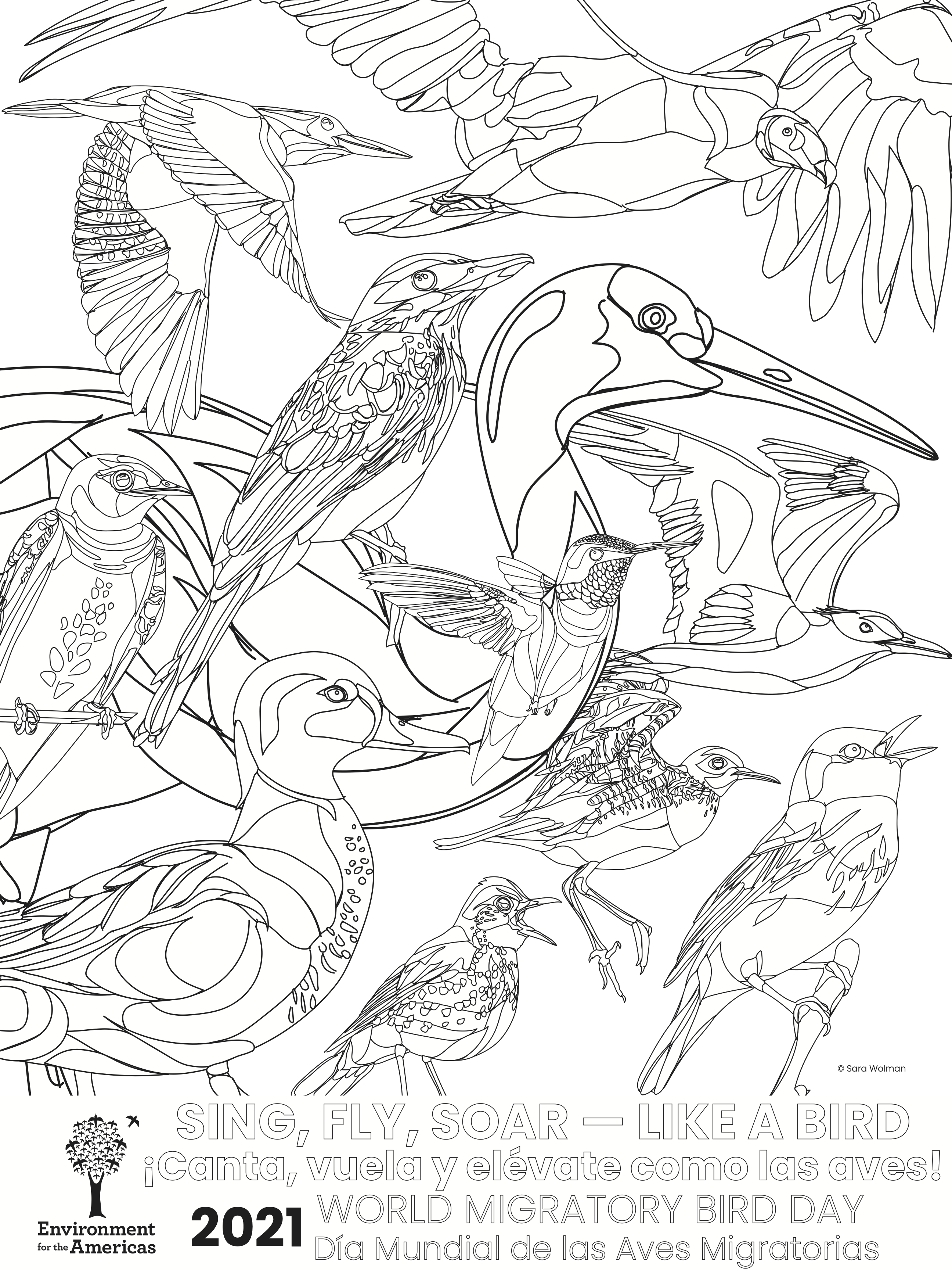 Coloring page â efta digital resource library