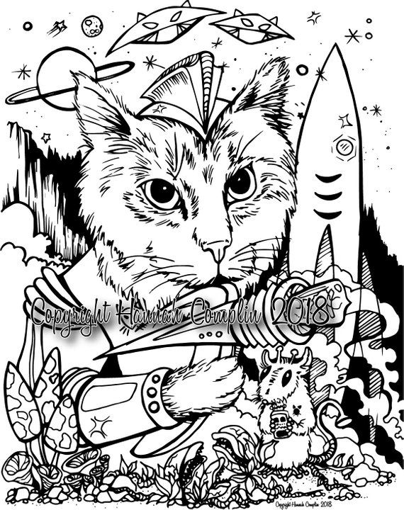 Space cat coloring page by hannah plin pdf download