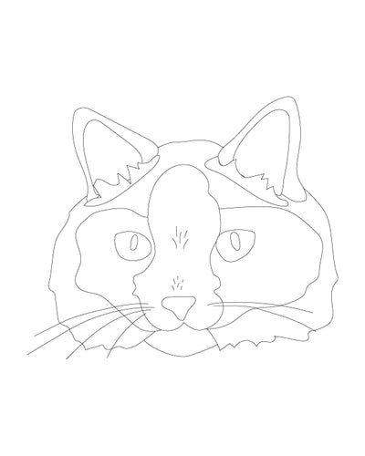 Space cats coloring pages â