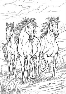 Adult coloring pages