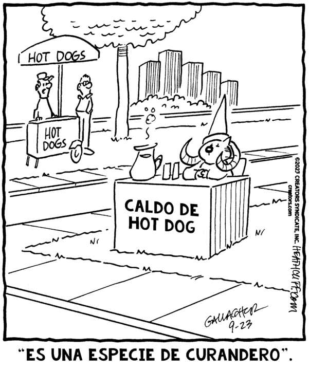 Heathcliff spanish for sep by peter gallagher syndicate