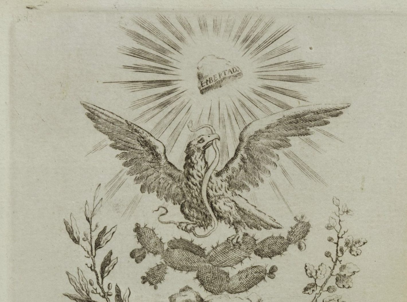 Latin american independence in the age of revolutions â digital collections for the classroom