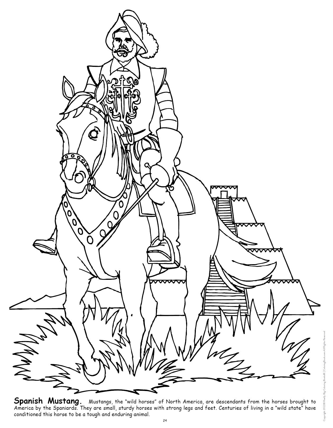 Horses really big coloring book x
