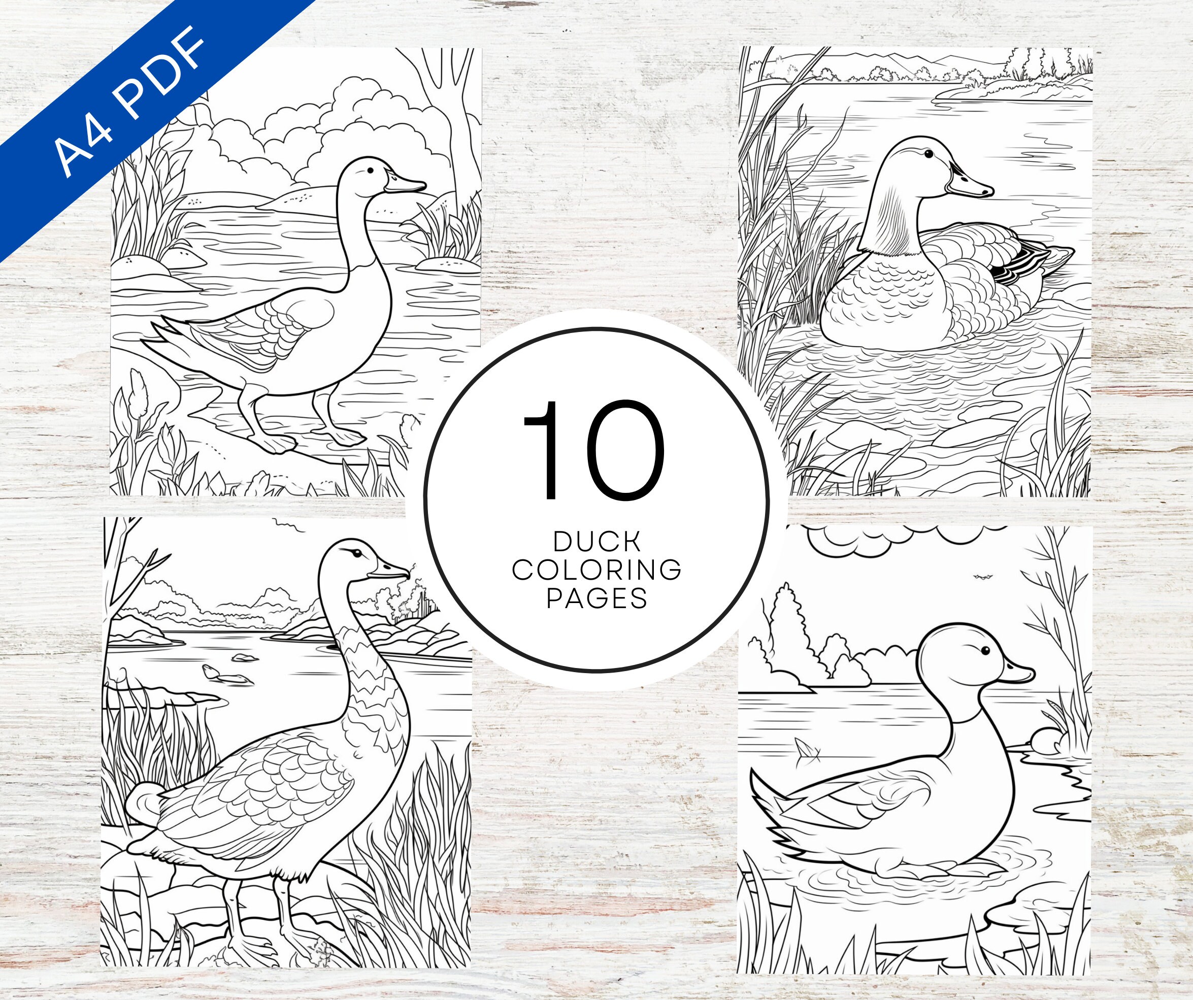 Duck coloring pages printable pdf a animal coloring sheets for kids adults stress relief and relaxation download now