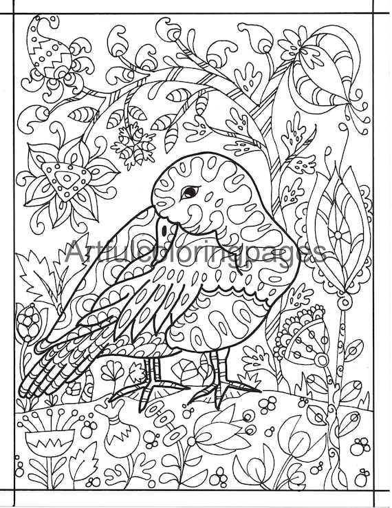 Adult coloring pages nature coloring page duck coloring page printables instant download