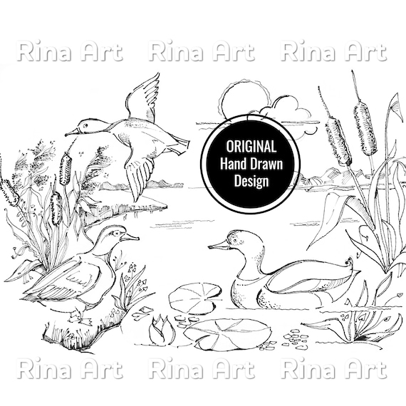 Ducks on the lake coloring page printable adult colouring pages book download grayscale illustration jpg pdf