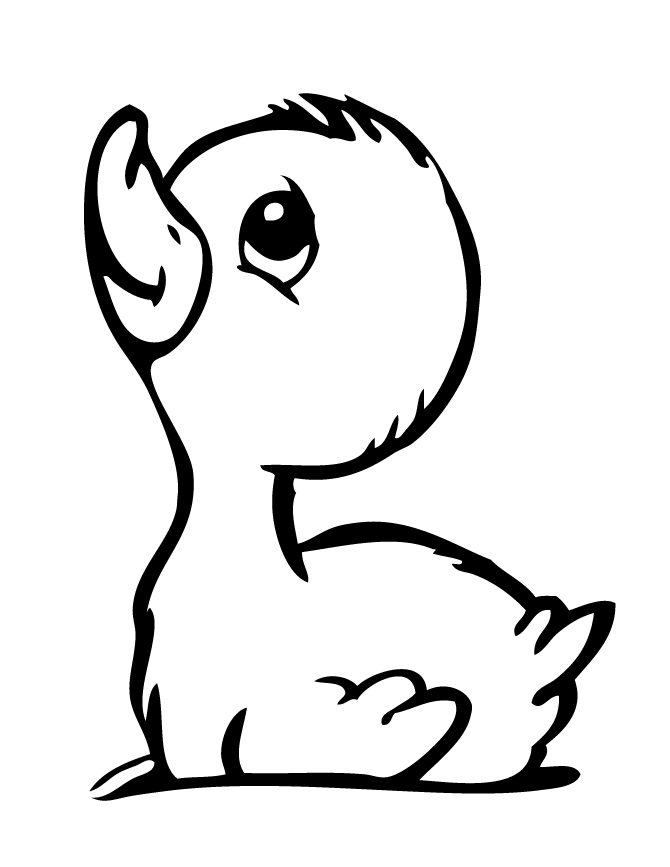 Duckling coloring pages