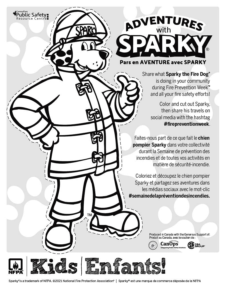 Take along sparky pad â canops