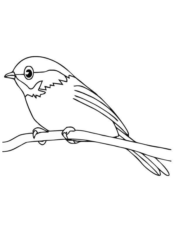 Coloring pages cute sparrow coloring pages for kids