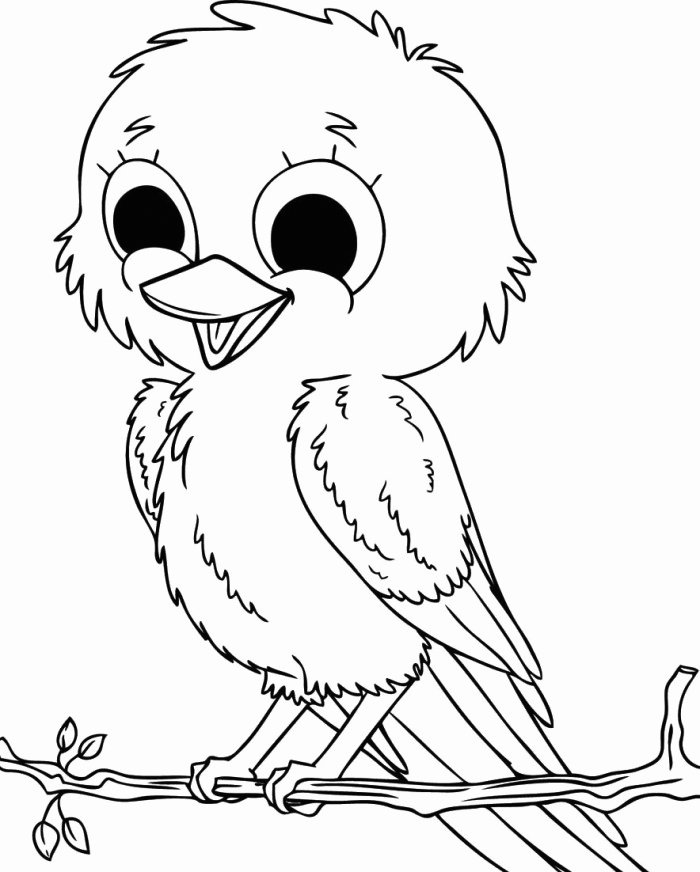 Sparrow coloring pages