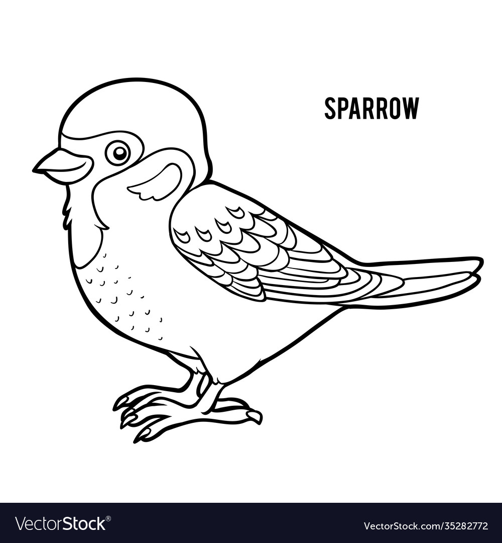 Coloring book for children sparrow royalty free vector image