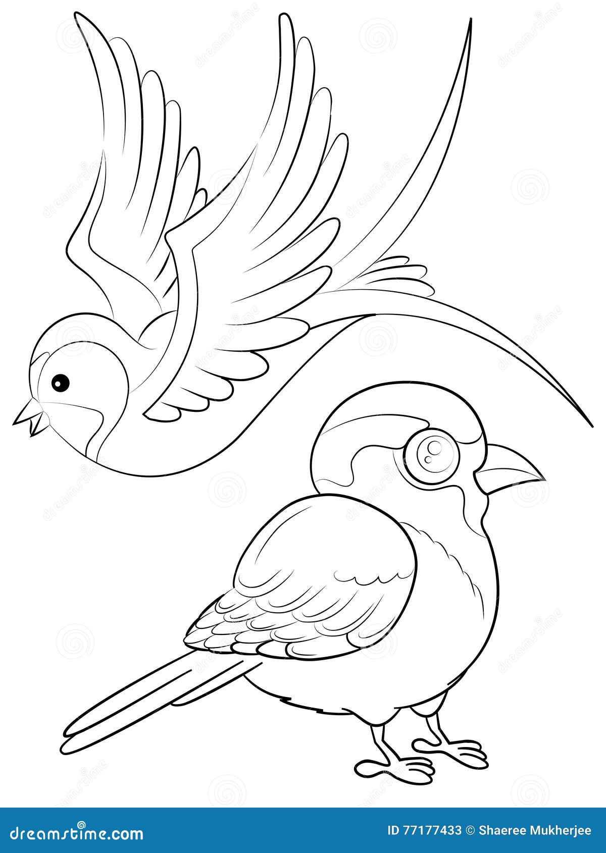 Birds coloring page stock image illustration of birds