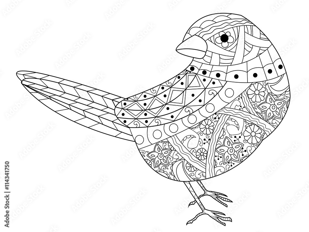 Sparrow coloring book vector for adults vector