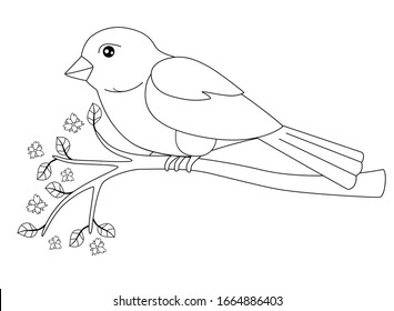 Thousand color sparrow royalty