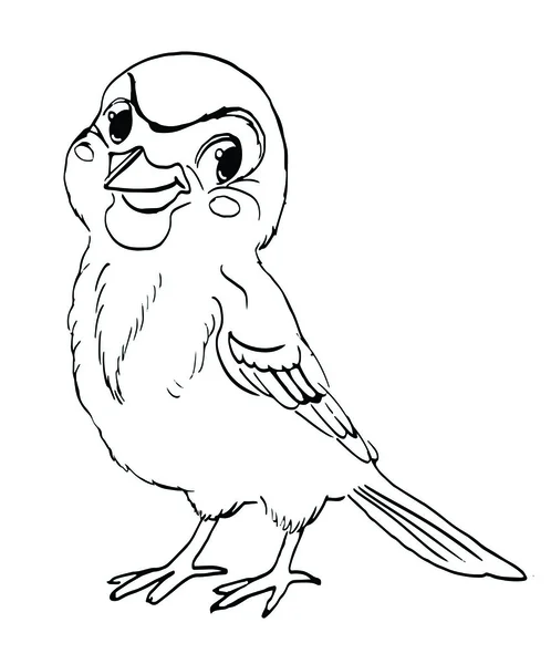 Sparrow birdcharacter vector sketch for coloring book stock vector by anaits