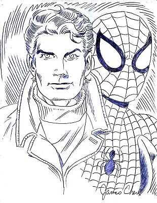 Peter parker the spectacular spider