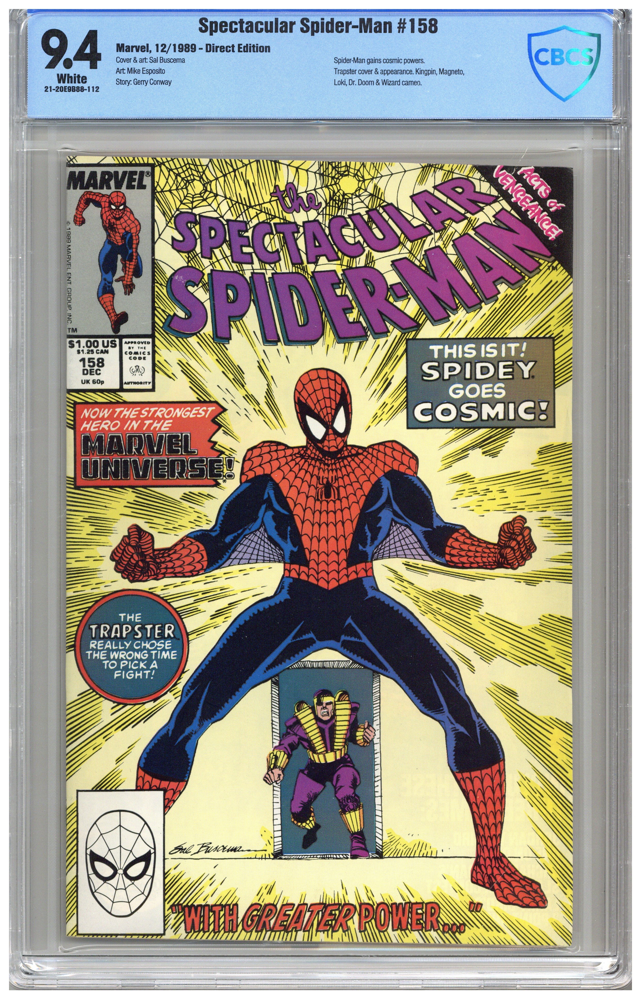 Spectacular spider