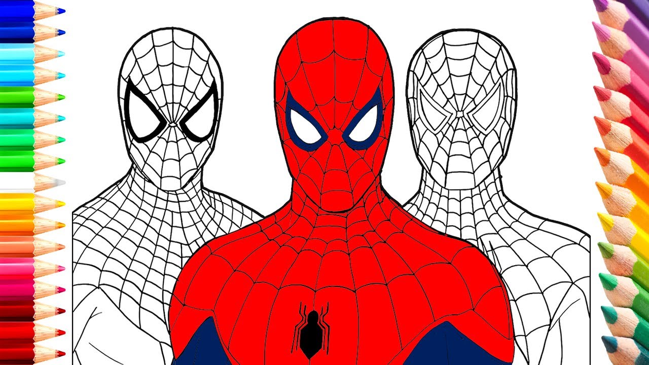Spider