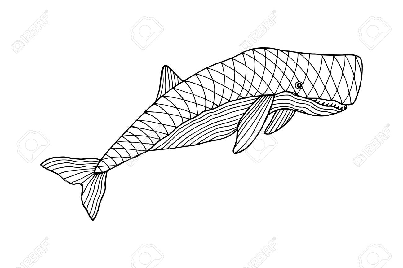 Sea animal whale sperm whale coloring book vector stock illustration eps hand drawing royalty free svg cliparts vectors and stock illustration image