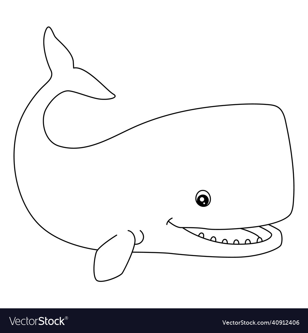 Sperm whale coloring page isolated for kids vector image