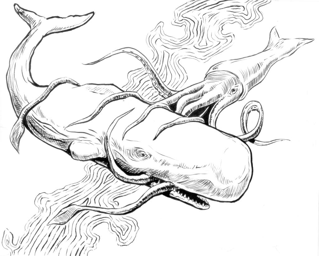 Sperm whale vs squid by danslesable on
