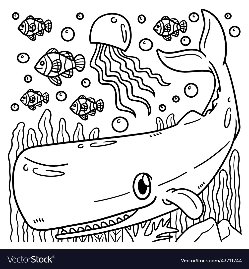 Sperm whale coloring page for kids royalty free vector image