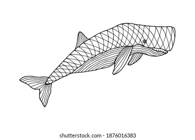 Sea animal whale sperm whale coloring stock illustration