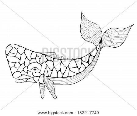 Azores sperm whale vector photo free trial bigstock