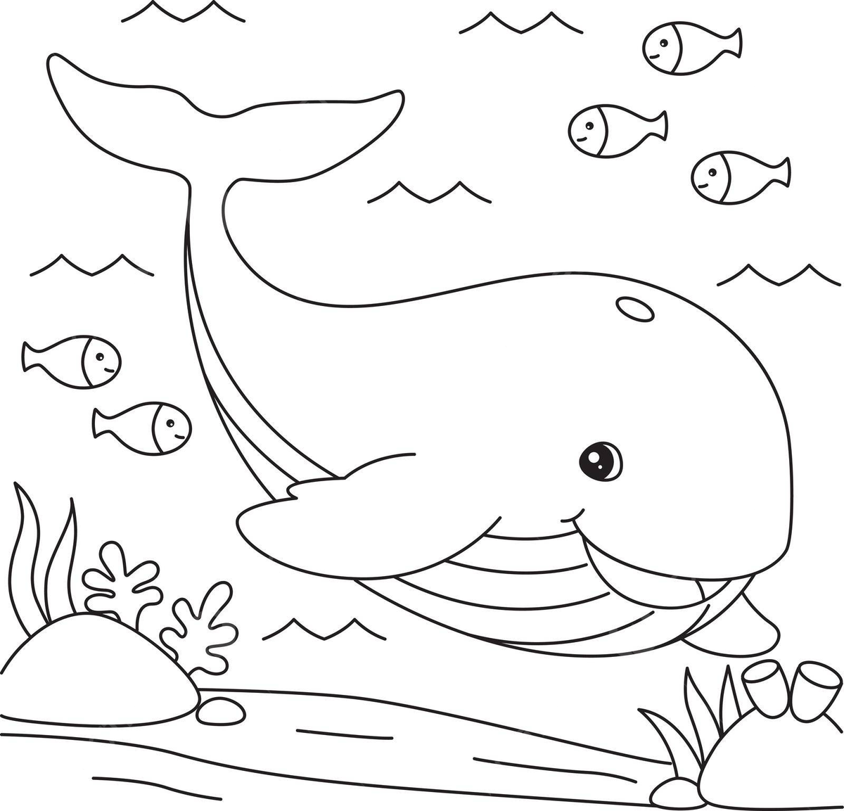 Whale coloring page for kids contour underwater background vector contour underwater background png and vector with transparent background for free download