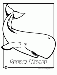 Endangered ocean animal coloring pages animal jr
