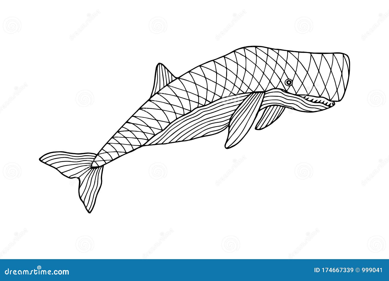 Sea animal whale sperm whale coloring book vector stock illustration eps hand drawing stock vector