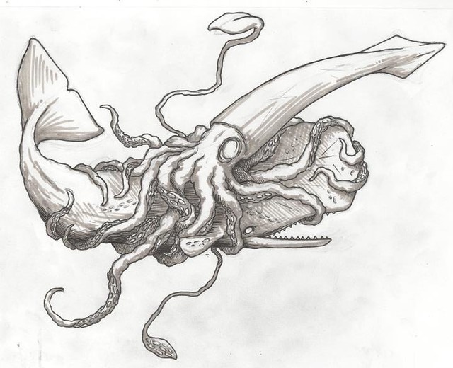 Sperm whale vs squid dr rasterbator