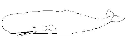 Free sperm whale clipart page of public domain clip art