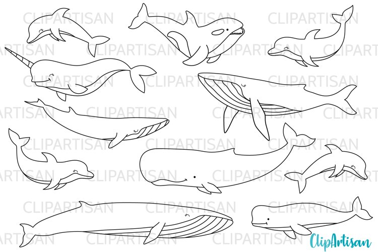 Whales and dolphins digital stamps svg eps