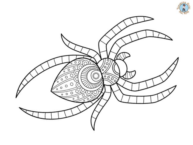 Spider coloring page