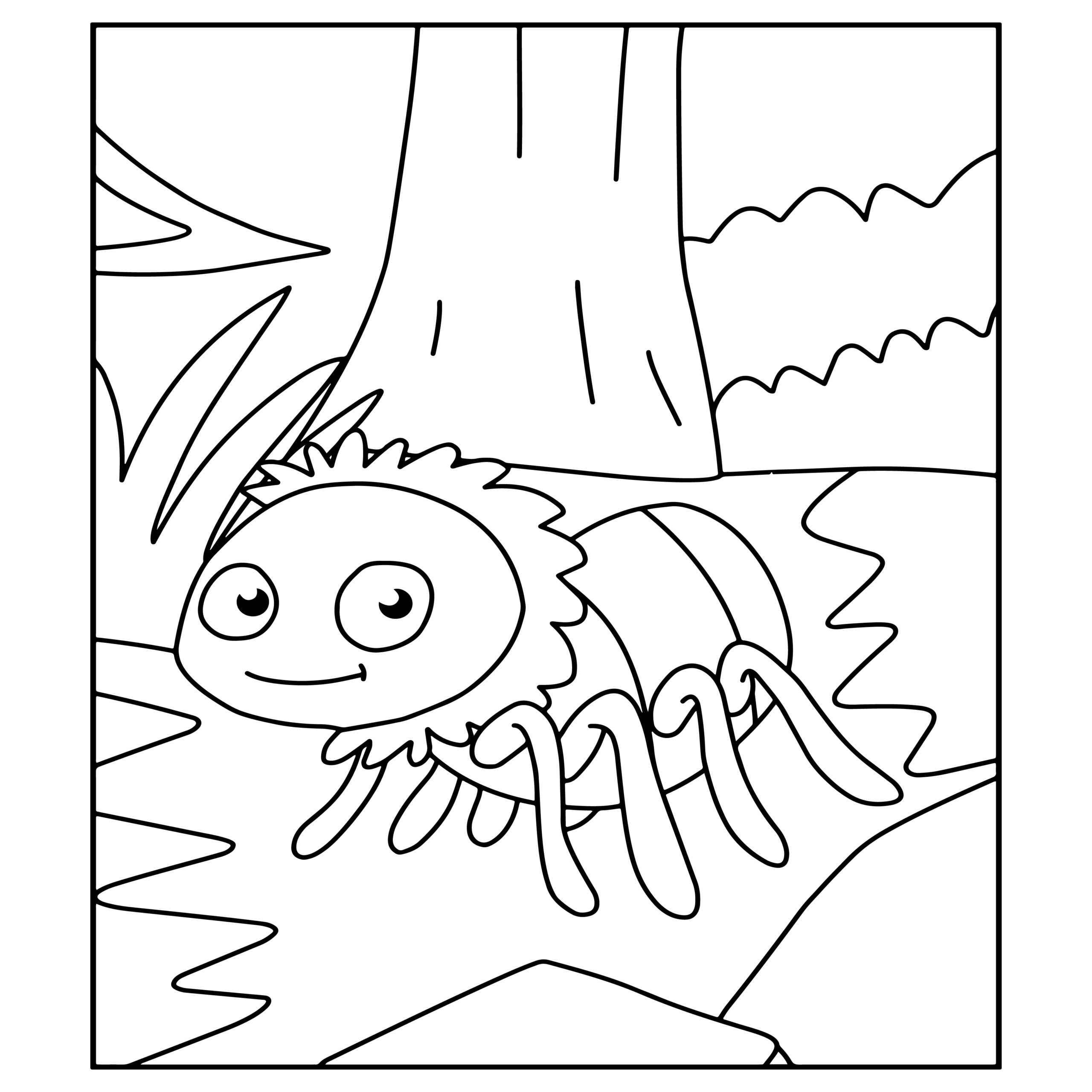 Spider coloring pages for kids spider coloring book made by teachers