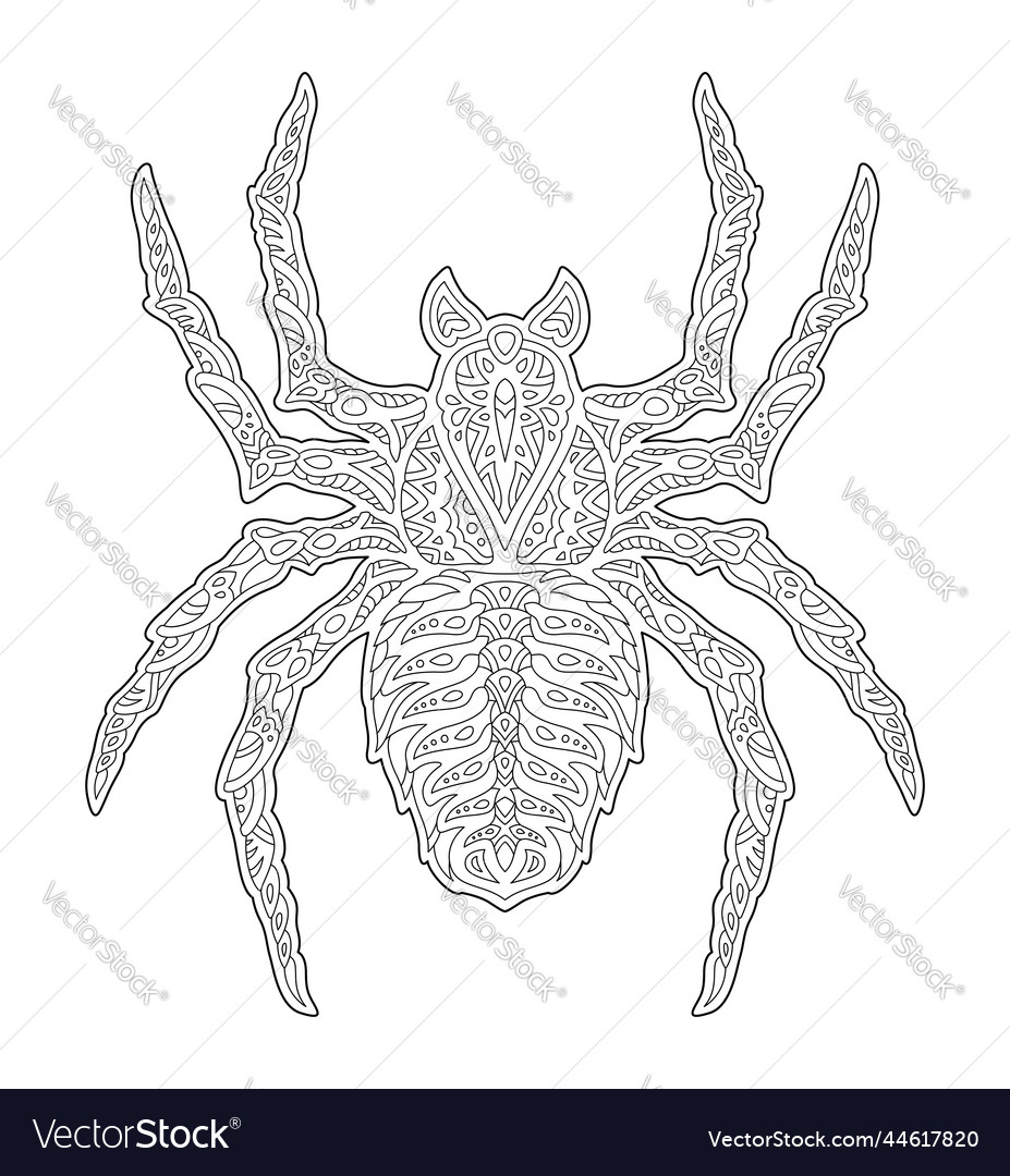 Line art for coloring book with decorative spider vector image
